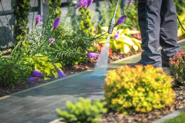 Best Parking Lot and Garage Cleaning  in Wahneta, FL