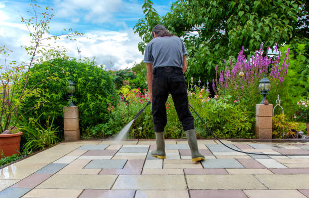 Best Winterizing Services  in Wahneta, FL